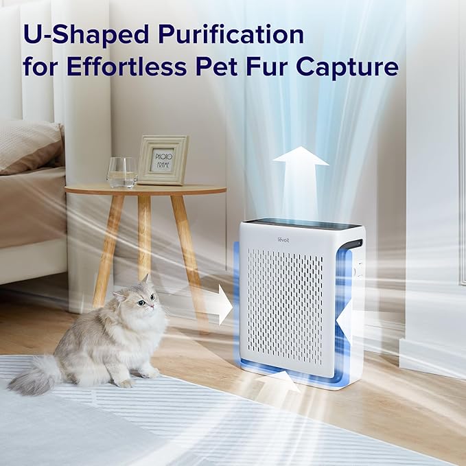 Air Purifier: 10 Ultimate Steps For Best Results In 2026 1 815avlPKMdL. AC SX679 TheHomeQuality