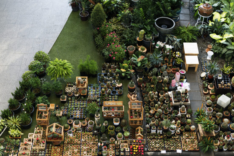 Biophilic Outdoor Design: 7 Amazing Ways to Boost Property Value (Proven Guide) 10 cactus houseplant collection decoration set TheHomeQuality