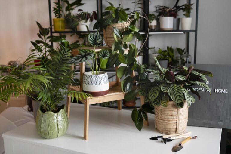 growing plants home concept TheHomeQuality