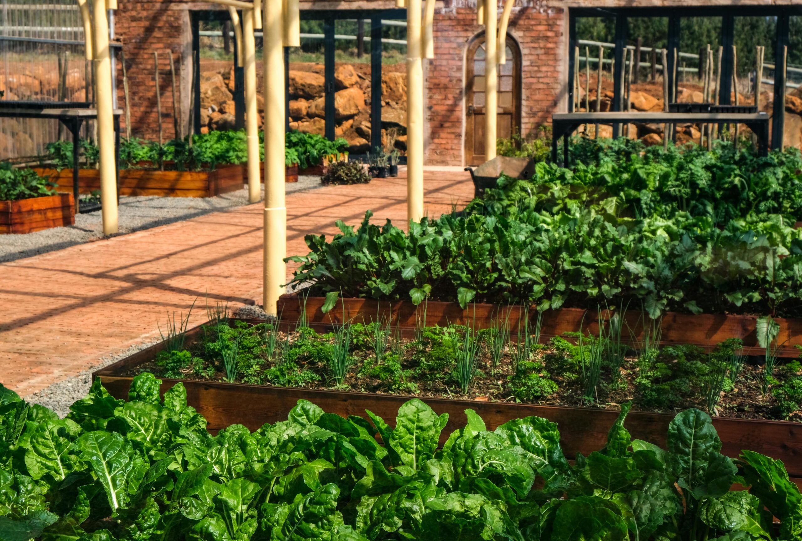 Self-Watering Raised Garden Bed: 7 Best Ways to Maximize Yields (Proven Guide) 1 pexels magda ehlers pexels 9685943 scaled TheHomeQuality