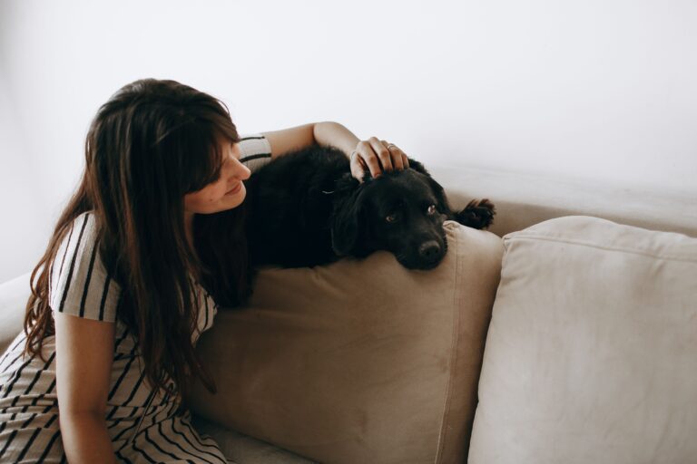 pexels helenalopes 27175800 TheHomeQuality